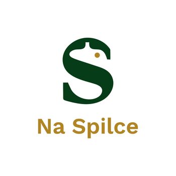 Na Spilce
