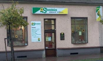 Slunečnice zdravá výživa
