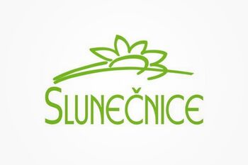 Slunečnice